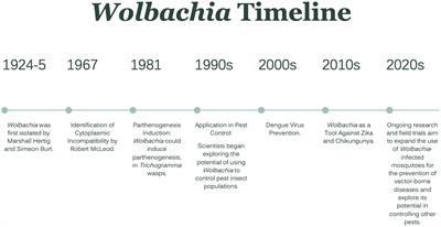 Symbiotic Wolbachia in mosquitoes and its role in reducing the transmission of mosquito-borne diseases: updates and prospects